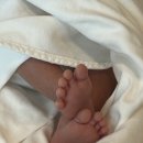 [조리원 후기] 디에르 조리원/ 에르메스 조리원- 경산모 솔직후기