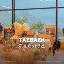 정선목장 | [강원도 가볼만한곳] 몽토랑 제빵소 :: 정선 태백 산양목장 카페 내돈내산