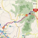 오리 날다 - 용인시 처인구 | 오리 날다