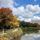 일산호수공원 이미지