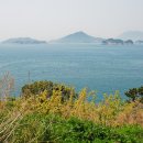 쑥섬(봉도) Daum카페
