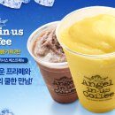 엔젤리 이미지