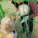 육미천하 이미지