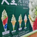 성은농장 | 일본 알펜루트 패키지 4박5일 후기 : 2일차 마츠모토성 입장 후기 와사비농장 사야할것 꼭 먹어야할것...