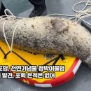 울진후포항