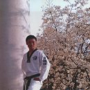 김승훈태권도 이미지