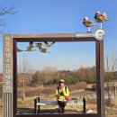 DMZ 평화의 길 4코스 이미지