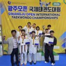 국제태권도 남도일보
