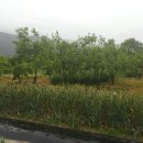 단비농장 이미지