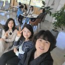 롯데부동산중개사무소 이미지
