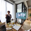 오키나라 이미지