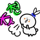 르마일 이미지