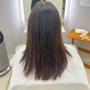 아리동물약품 | 광교미용실 신데렐라 클리닉 잘하는곳 상현 이노르헤어 솔직후기