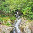 용소계곡펜션 화장실 이미지