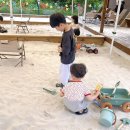 승민칼국수 이미지