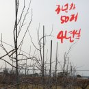 엠마누엘농장 이미지