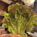 장군왕족발 영등포점 | [맛집] | 여의도 점심 가성비 | 용설왕족발 | 점심메뉴 내돈내산 후기