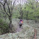 제주의사계 이미지