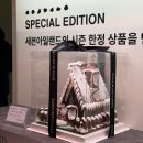 세븐 랜드 | 부산 크리스마스 카페 가덕도 세븐아일랜드 내돈내산 방문 후기