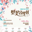 안산벚꽃음악회 이미지