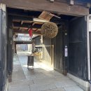 미니양조장 | 일본 도쿠시마 양조장 나루토타이 사케 종류 및 시음 후기