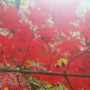 팔도공인중개사사무소 이미지