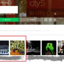 프래비 | 블로그 생성 20일 만에 일 방문자 1000명 달성 후기와 팁