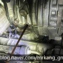 트랜퍼
