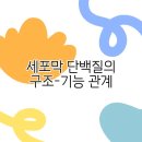 구조관계 이미지