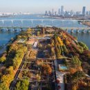 온 가족이 즐기는 ’이현공원 숲속음악소풍’ | 서울 4월 피크닉 명소 추천 벚꽃 엔딩과 함께 즐기는 감성 소풍 도시락 나들이 코스 베스트 5