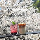 사계223 | 서울 마지막 벚꽃 카페 선운각 | 지금 아니면 놓치는 타이밍