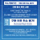 만만 | 2026 부산 나이트 워크 16K 후기 | 걷기도 만만하지 않다