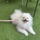 효령로68길 104 이미지