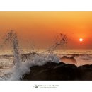 동해일출 이미지