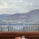 도시고양이생존연구소 이미지