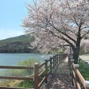 덕산주 이미지