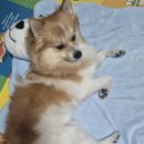 시흥대로52길 이미지