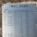 비에이스 이미지