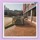 선운초등학교