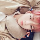 Cat boy or dog boy ,Daniel 😂🐈🐕 이미지
