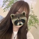 모쉬(MOSH) 이미지