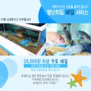 작은 수산시장 네이버블로그