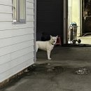 백련손세차장 이미지