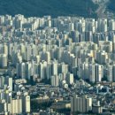 여우애김밥 우장산역점 이미지