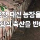 대신축산 이미지