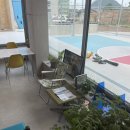 셀로판B 이미지