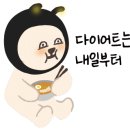 복싱DAY 이미지