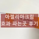 아젤리아