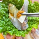 참좋은신안횟집 | 임자도맛집 추천｜민어회 제철이라면 여기! 참좋은신안횟집