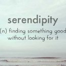 SerendiPity 이미지
